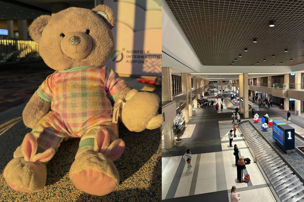 El Norfolk International Airport lanzó una búsqueda pública para identificar al dueño de un oso de peluche perdido en plena temporada de viajes