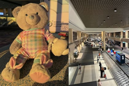 El Norfolk International Airport lanzó una búsqueda pública para identificar al dueño de un oso de peluche perdido en plena temporada de viajes
