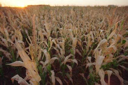 El norte es la zona mayormente afectada por la crisis económica de la Argentina