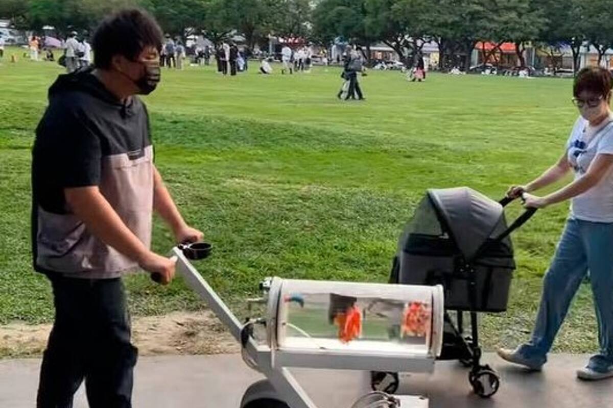 El novedoso invento sorprendió a todos los transeúntes.