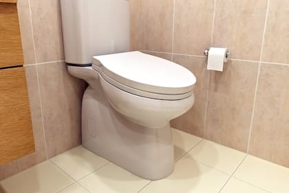 El nuevo diseño de la firma Standard Toilet inclina el inodoro para que nadie se pase más de unos minutos allí sentado
