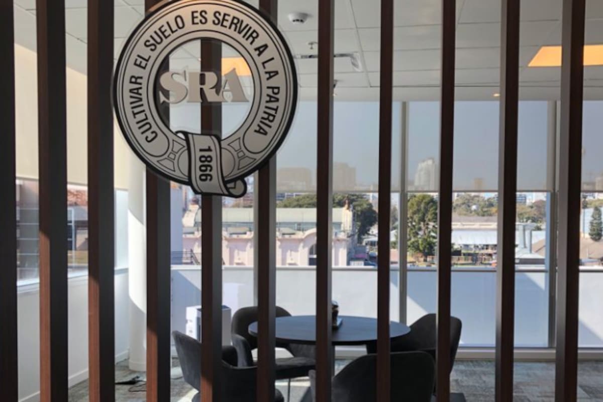 El nuevo edificio tiene una superficie de alrededor de 3000 metros y 25 cocheras disponibles