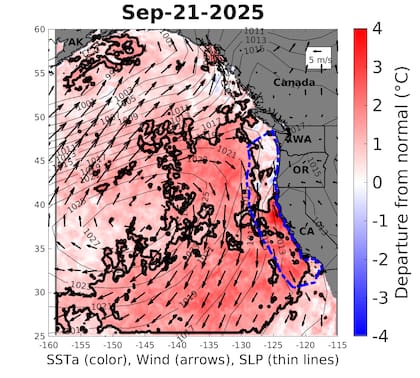 El nuevo episodio, identificado como NEP25A, se originó en mayo de 2025 en el Golfo de Alaska y se expandió rápidamente, convirtiéndose en la cuarta ola de calor marina más grande registrad