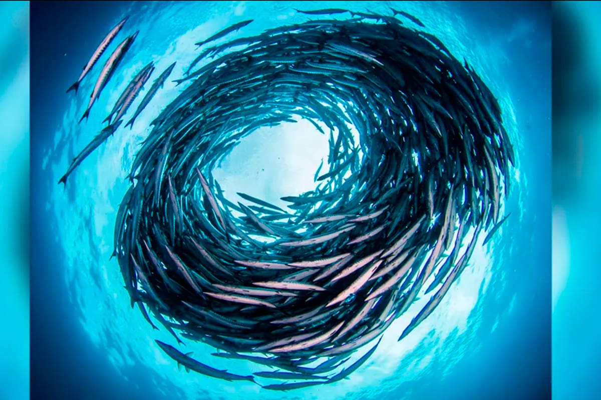 El nuevo estado de la materia: el "estado de remolino"