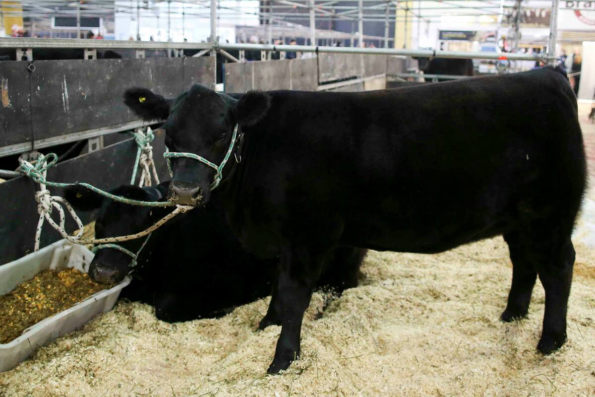 El nuevo evento se hará en mayo de 2021