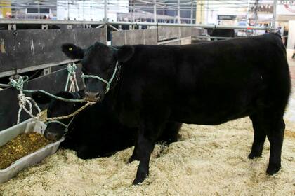 El nuevo evento se hará en mayo de 2021