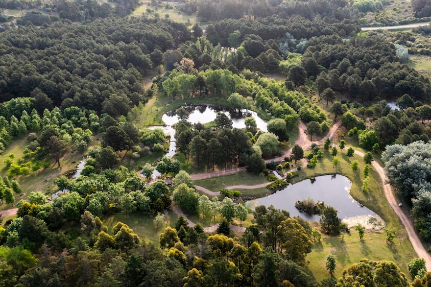 Jardin japones
