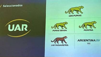 El nuevo logo de la UAR y la identificación de cada una de las selecciones