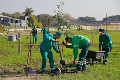 El nuevo Parque del Arroyo Vega tendrá algunos de los árboles que se plantarán a lo largo del año