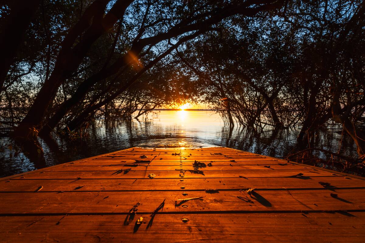 El nuevo Parque Natural de Entre Ríos, Islas y Canales Verdes del Uruguay