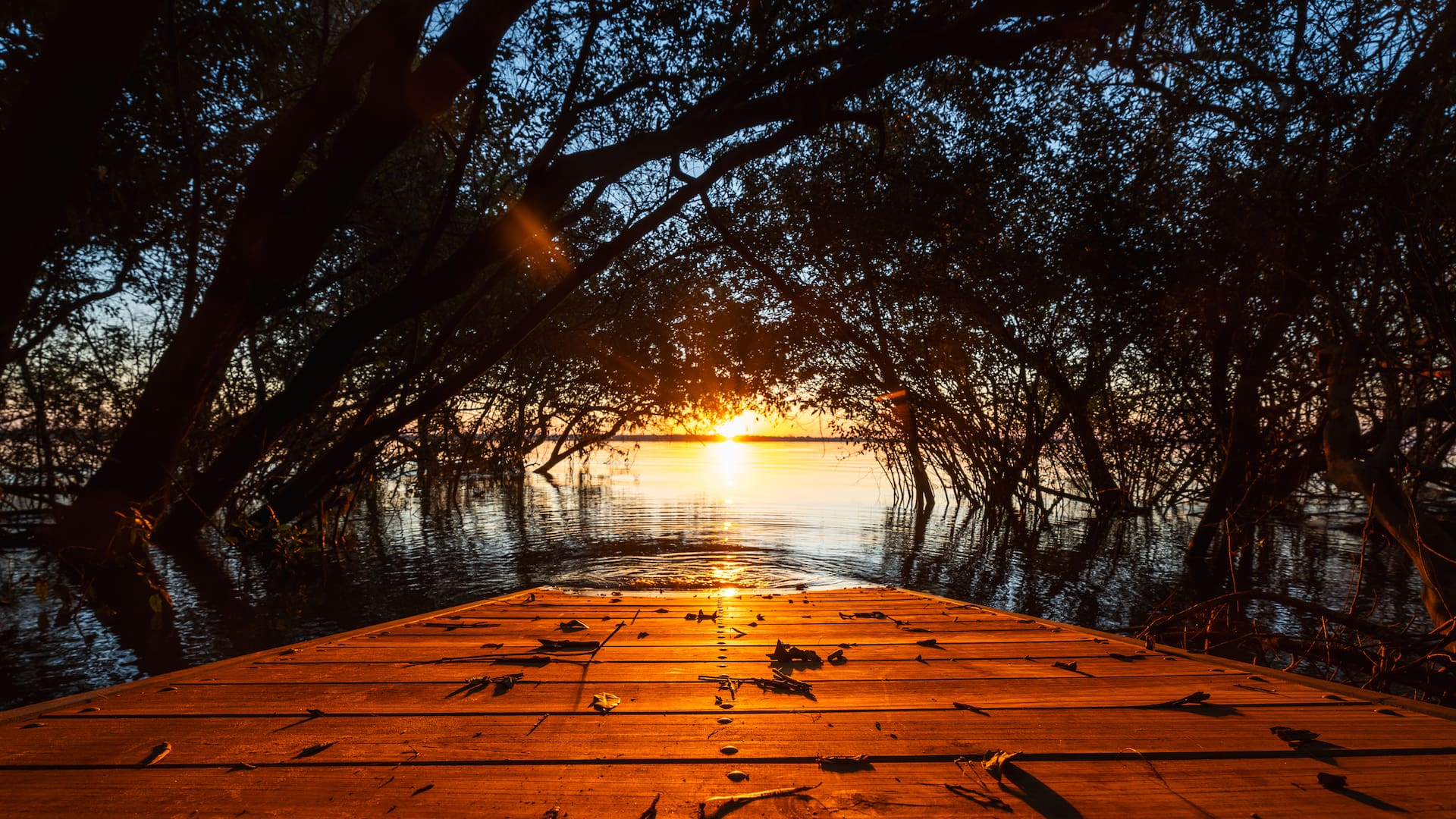 El nuevo Parque Natural de Entre Ríos, Islas y Canales Verdes del Uruguay