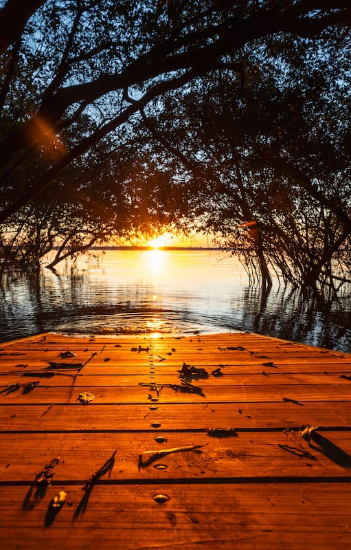 El nuevo Parque Natural de Entre Ríos, Islas y Canales Verdes del Uruguay