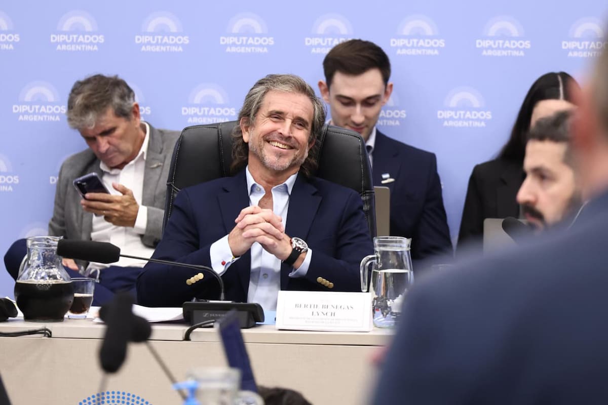 El nuevo presidente de la comisión de Presupuesto en Diputados, el libertario Bertie Benegas Lynch