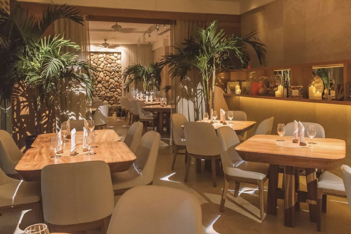 El nuevo restaurante se ubica en Miami Beach y sobre él hay buenos antecedentes gastronómicos