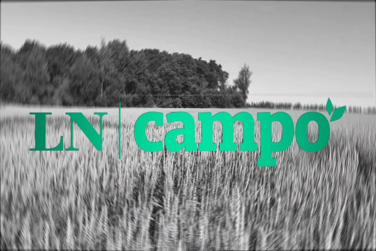 El nuevo sitio de LN Campo cuenta con toda la información clave del sector