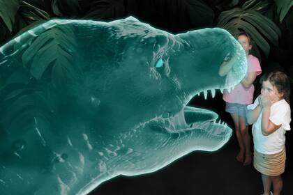 El nuevo zoológico abre sus puertas con diferentes atracciones para sus visitantes