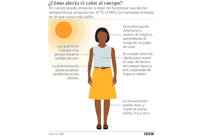 Cómo afecta el calor