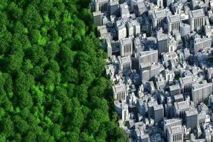 El objetivo de las compensaciones de carbono es "permitir que las corporaciones sigan emitiendo con impunidad", según el economista David Barmes