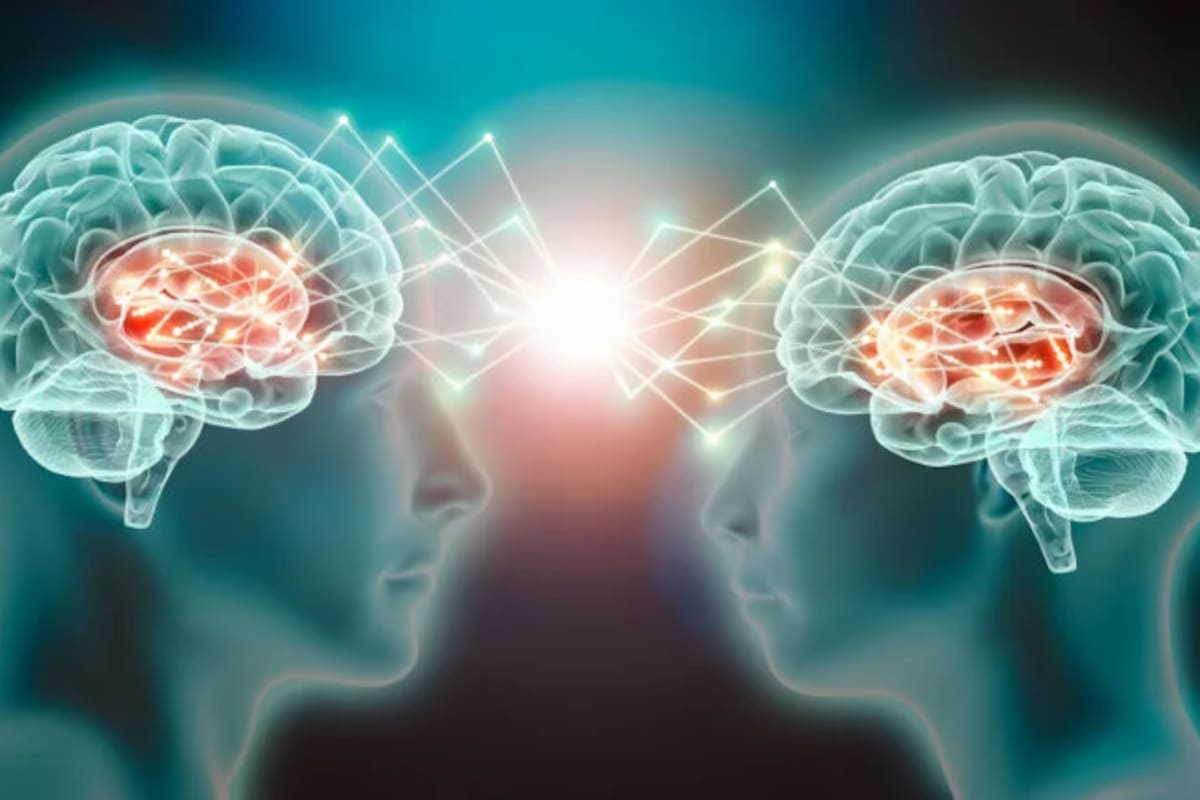 El objetivo de las técnicas de pensamiento visible es despertar el desarrollo de la curiosidad, la comprensión profunda y la argumentación basada en evidencias