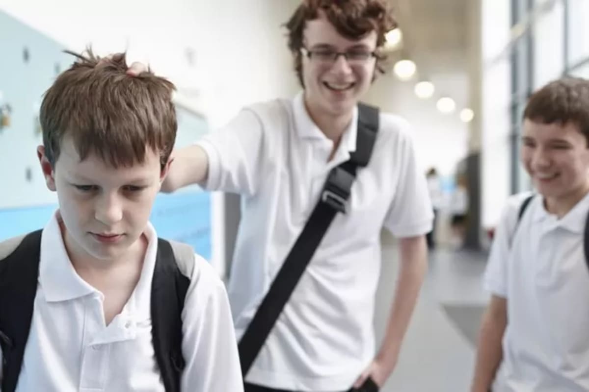 El objetivo, en todo ello, es conseguir que el mensaje anti-intimidación quede arraigado en la cultura de la institución