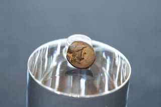 Un adolescente encontró la primera moneda griega de la ciudad, acuñada en la antigua Troya