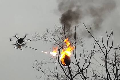 El objeto volador fue adaptado para acabar con la amenaza de estos insectos en la aldea Zhong del país asiático, donde se planea incendiar más de 100 nidos