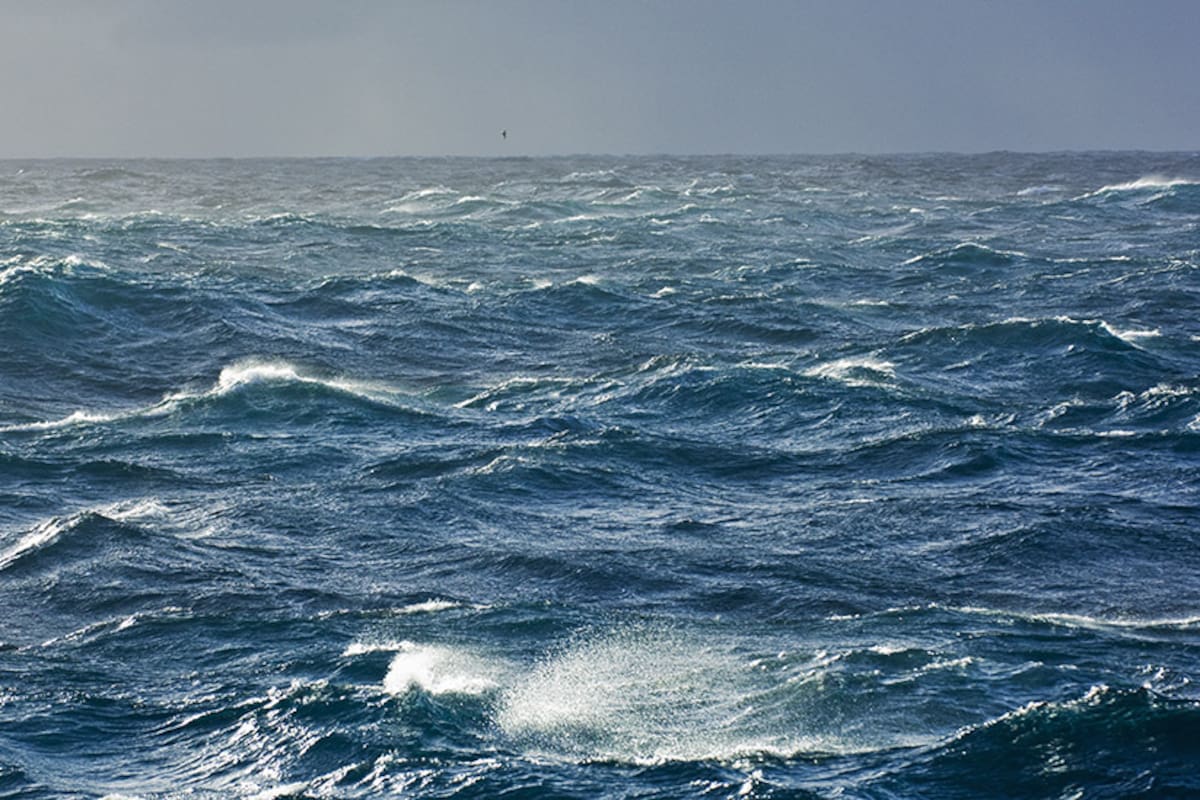 El océano Atlántico Sur esconde riquezas enormes.