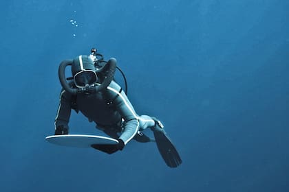 El oceanógrafo francés, François Sarano se sumerge en las profundidas para nadar y conocer a los protagonistas de leyendas antiguas y de nuestra literatura contemporánea, los cachalotes.