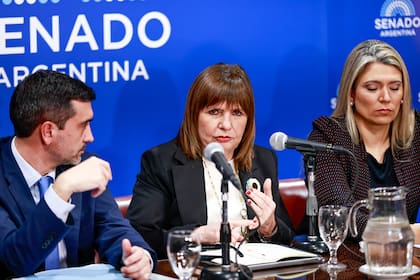 El oficialismo hizo concesiones, pero puja voto a voto
