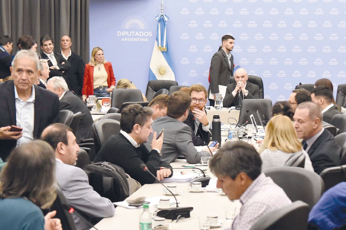El oficialismo logró el dictamen para que pase al recinto de Diputados el proyecto de ley de medidas fiscales