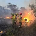 Entidades del campo lamentaron el retiro del capítulo sobre la ley del manejo del fuego