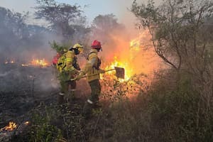 Entidades del campo lamentaron el retiro del capítulo sobre la ley del manejo del fuego