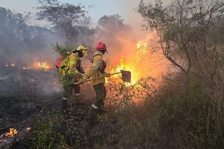 Entidades del campo lamentaron el retiro del capítulo sobre la ley del manejo del fuego