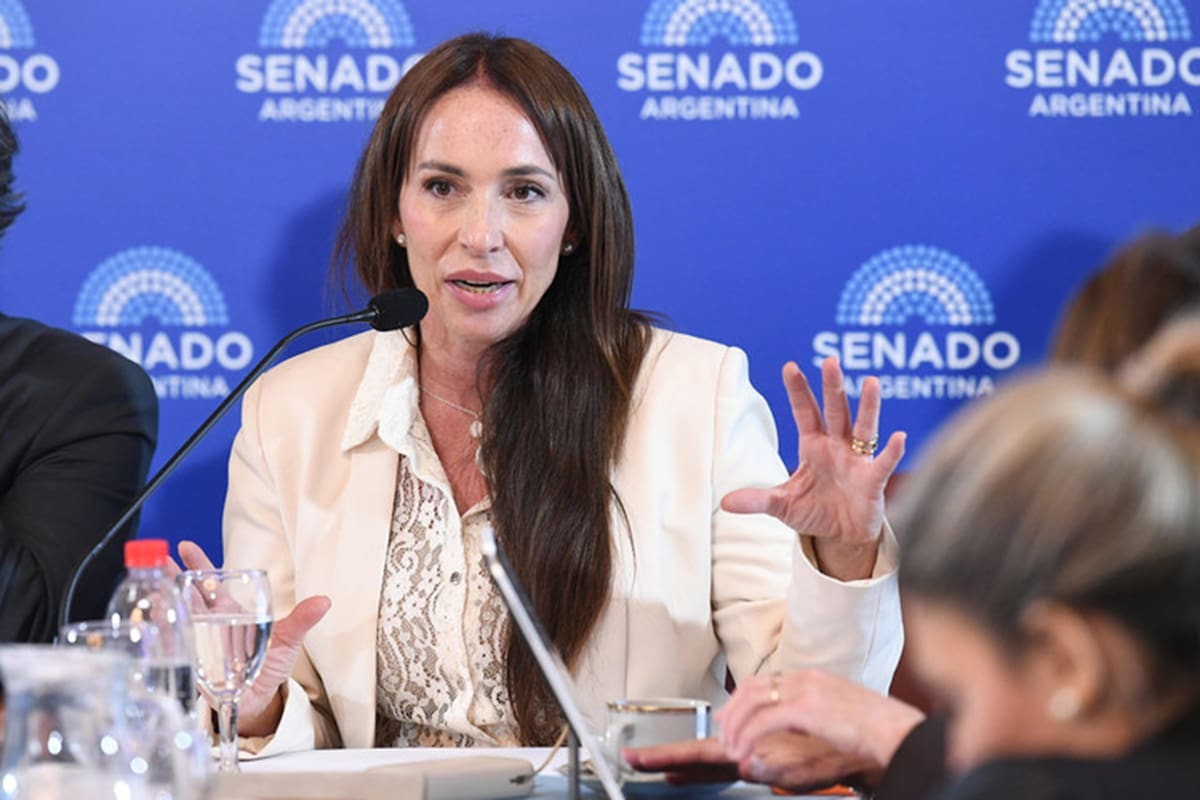 El oficialismo retiró el pliego que nomina a María Verónica Michelli como jueza del Tribunal Oral Criminal Federal Nº 3 de La Plata