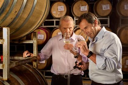 El oficio del vino, entre tradición y tecnología, sigue siendo el eje de la bodega a 125 años de su fundación