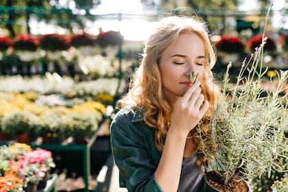 El olfato es uno de los sentidos más estudiados para el cuidado de la memoria (imagen ilustrativa)