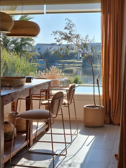 El olivo en la cocina de Carina Michelli, la "planta del momento" para decorar interiores.