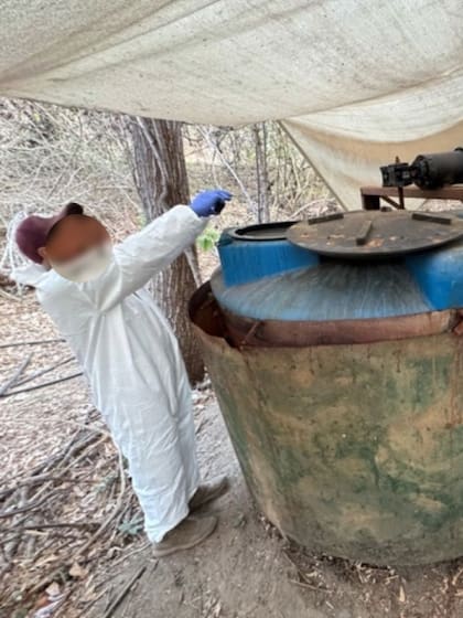 El olor típico de un narcolaboratorio se suele describir como “una mezcla de orina de gato y limpiador industrial”. Foto: @ICEgov vía X