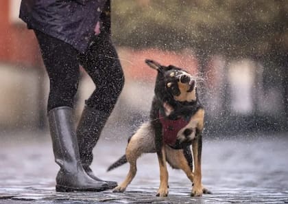 Se espera un jueves lluvioso en el sur de Florida