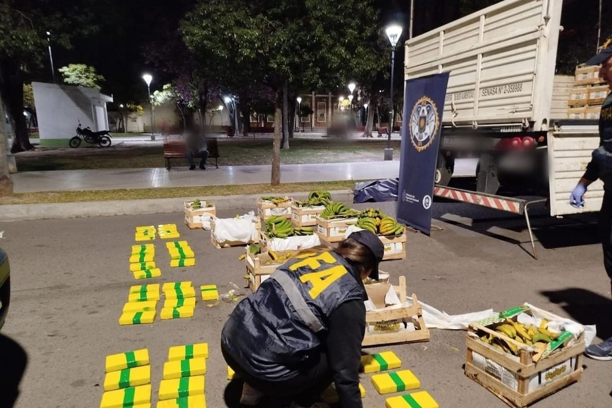 El operativo antidrogas fue realizado por la PFA en Santiago del Estero