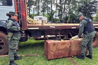 Una organización criminal ya perdió 13 toneladas de droga por operativos en lo que va del año