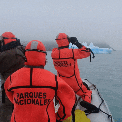 El operativo de búsqueda del puma realizado por especialistas del Parque Nacional Los Glaciares