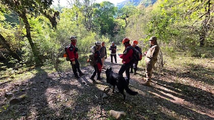 El operativo para dar con el paradero de Cordeyro incluyó a más de 100 efectivos de la policía de Salta, equipos especializados y perros de rastreadores
