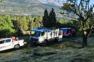 Un hombre murió aplastado por un árbol mientras cortaba leña con una motosierra