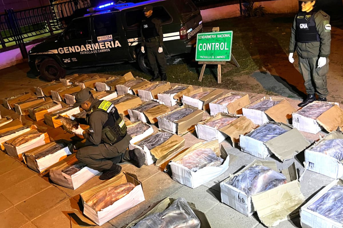 El operativo realizado por Gendarmería