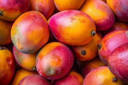 El operativo reveló un cargamento compuesto por 218 mangos y 7 kilos de nances, según informaron voceros de la CBP