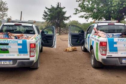 El operativo se hizo tras una denuncia anónima