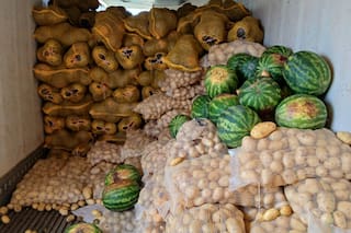 Detectan más de 20 toneladas de frutas con documentación irregular