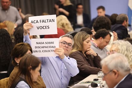 El opositor Esteban Paulon, hoy, en la comisión informativa en Diputados