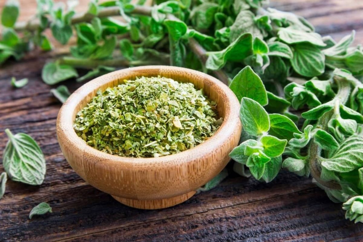 El orégano es muy usado para condimentar alimentos y combatir enfermedades (Foto: iStock)